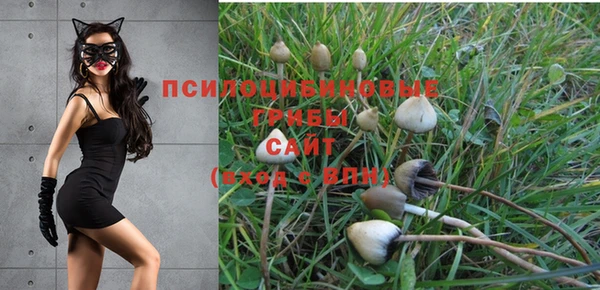 2c-b Абдулино