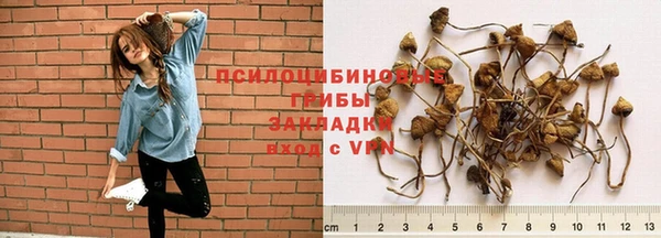 эйфоретик Абаза