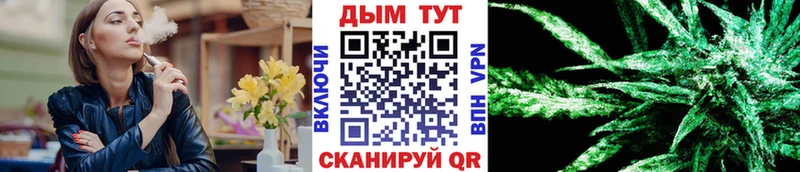 мега ссылки  купить  цена  Терек  Марихуана сатива 
